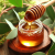 Premium Eucraino Eucalyptus Honey squisito sapore e benefici medicinali