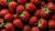 Venta al por mayor de fresas alpinas congeladas de Ucrania: alta calidad y frescas